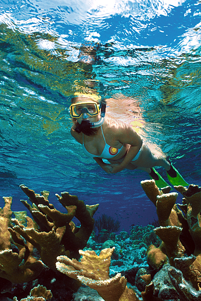 Activities on Bonaire