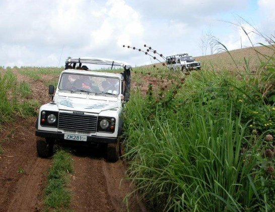 Barbados _Transportation _Company