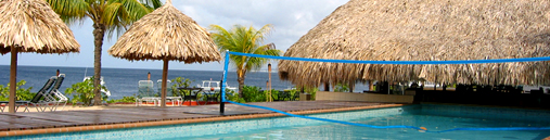 Buddy_ Dive _Resort