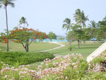 Crystal Cove Condominiums garden