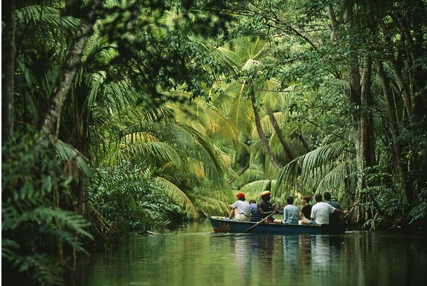 Dominica-island-caribbean