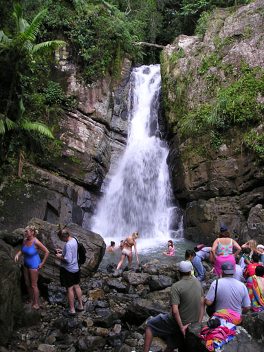 El _Yunque _Rainforest 