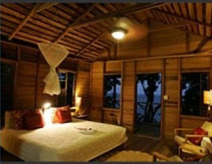 Jungle _Bay _Resort_ &- Spa