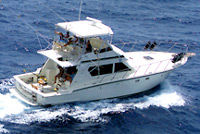 San _Juan- Deep _Sea _fishing