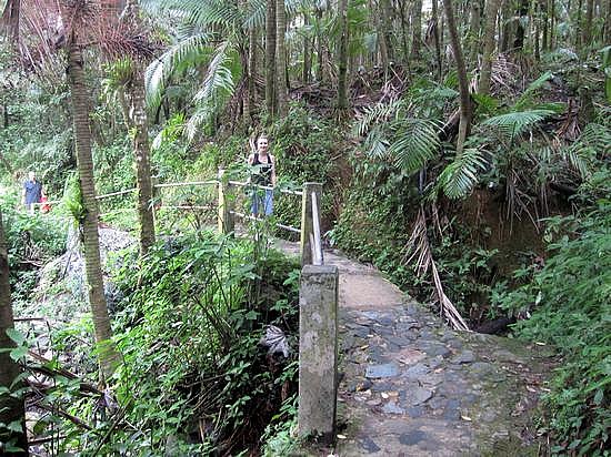 San _Juan_ El _Yunque _Rainforest _Hiking 