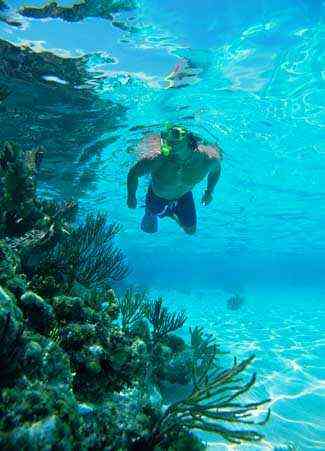 San_ Juan _Snorkel _and Picnic_ Cruise