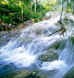 dunns_river_tour