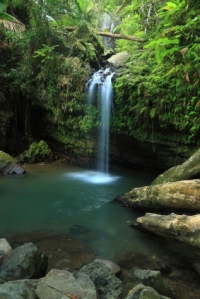 el-yunque-rainforest-half-day-trip-from-san-juan