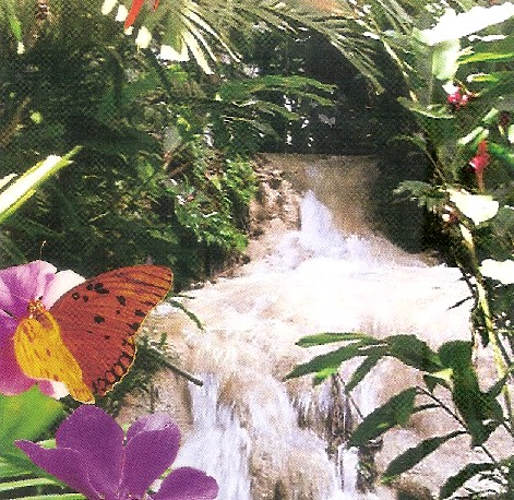 enchanted garden ocho rios