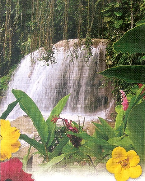 enchanted garden ocho rios