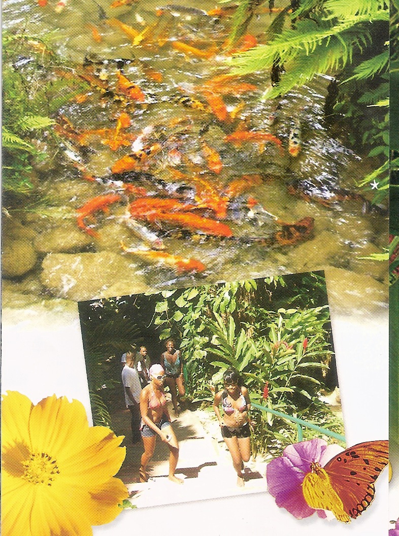 enchanted garden ocho rios